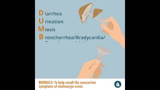 Mnemonic Device Dumbels  Merck Manual Professional Version [upl. by Repard890]