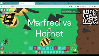 Marfred vs Ultra Hornet florrio [upl. by Sugden]