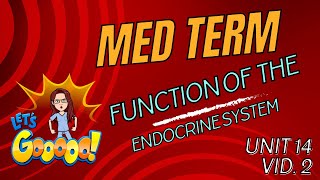 Endocrine System Functions Explained  Medical Terminology Unit 14  Hormones and Organs [upl. by Sheelagh]