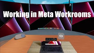 Working in VR with Meta Workrooms [upl. by Dawna328]