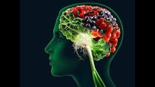 Research From Harvard Reveals Foods Linked to Better Brain power [upl. by Lulu700]