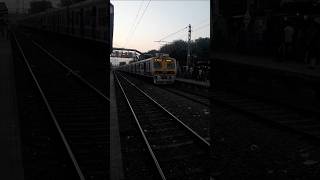 Thakurnagar local 448pm skipping Habra station  youtubeshorts shorts [upl. by Tiffanle]