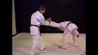 Aikido from scratch to perfection [upl. by Immot]