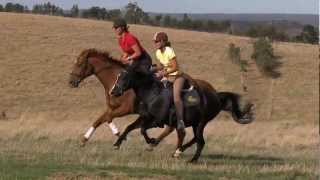 Our cantergallop in slow motion [upl. by Pruchno]