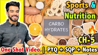 Sports and Nutrition  CH  5  CBSE Class 12th 2024 🔥  FREE Notes [upl. by Andaira]