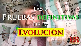 Las 5 pruebas definitivas de la evolución de las especies [upl. by Allerie]