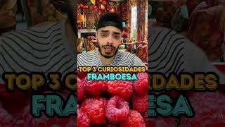 FRAMBOESA  TOP 3 CURIOSIDADES [upl. by Beatrix]