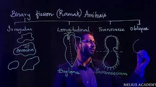 Binary Fission 🔴NEET Points🔴 Class 12 📚  DrShaikMahmood IndianEduKings meliusacademy7161​ [upl. by Ymaj147]