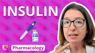 Insulin  Pharmacology  Endocrine System  LevelUpRN [upl. by Nayarb]