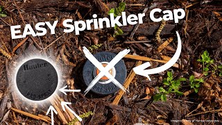 3 Easy Ways to Cap Off ANY Sprinkler Head  SprinklerSupplyStorecom [upl. by Ahslek134]