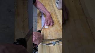 How to Fillet a Walleye [upl. by Beck]