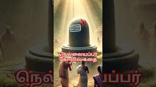 நெல்லையப்பர் கோவில் கதை shiva shivan facts thirunalveli history [upl. by Charmian597]