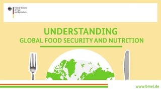 quotUnderstanding global food security and nutritionquot [upl. by Renate650]