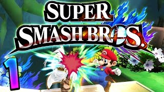 CAT FIGHT  Super Smash Bros Wii U [upl. by Ainola]