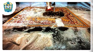 carpet cleaning videos  cleaning rugs satisfying compilation 01 [upl. by Enilkcaj]