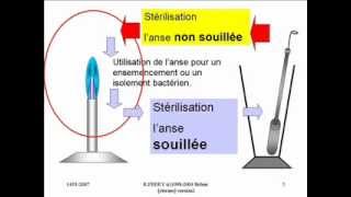 Sterilisation anse de platinewmv [upl. by Irat294]