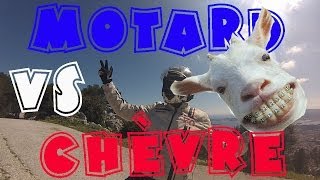 Motard VS Chèvre  Vlog 3 22 [upl. by Danforth]