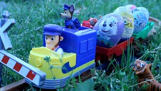 PAW PATROL rescata el TREN de HUEVOS GIGANTES patrulla canina cachorros train tren juguetes toys [upl. by Reffinnej230]