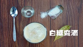 趣味科学小实验，白糖变酒精，究竟咋回事？ [upl. by Ddej]