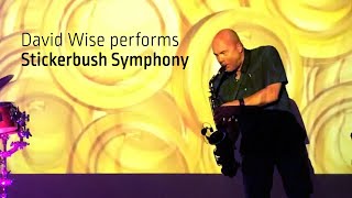 Stickerbush Symphony live with David Wise [upl. by Yblek]