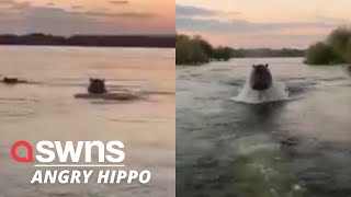 Shocked sightseers get chased by a giant angry hippo in Lake Victoria Kenya  SWNS [upl. by Gerstner]