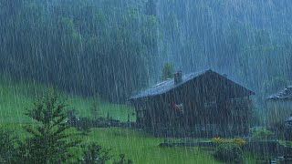 Rain Sounds for Sleeping  Sound of Heavy Rainstorm amp Thunder in the Misty Forest At Night [upl. by Ebert]