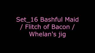 set 16 Bashful Maid  Flitch of Bacon  Whelans jig [upl. by Atteuqnas779]