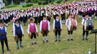 Hoamatland  OÖ Hymne  Gesamtspiel beim Musikfest Moosdorf 2015 [upl. by Resay]