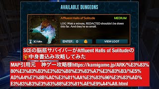 arkモバイル 📽️33 SCEの脳筋サバイバーがAffluent Halls of Solitudeの🎁中身書込み攻略してみた 概要欄必読！タイムスタンプとMAP引用元リンク有り [upl. by Raffin]