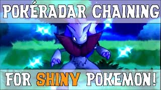 PokéRadar Chaining for Easy Shinies  Shiny Hunting Guide  Pokemon X and Y [upl. by Mcclain167]