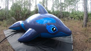 Blue Whale RideOn Pool Toy Made of Latex Rubber from Latex Catfish [upl. by Willyt]