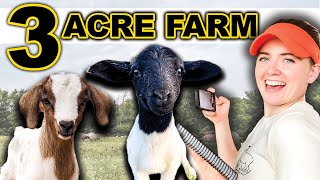 BUILDING A FARM ON 3 ACRES Beginner Plan Small Scale Homesteading Prepper Farming Food Sheep Goat [upl. by Arnoldo]