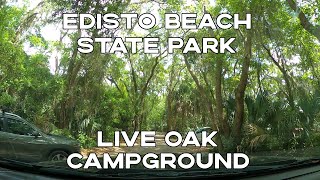 Edisto Beach State Park Campground  Ocean Side  Drone Footage [upl. by Cordell277]