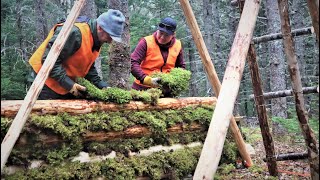 Bushcraft Shelter Build Update  Insulated Back Wall Started [upl. by Hinze]