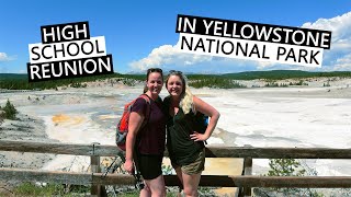 YELLOWSTONE CALDERA  wild swimming at Firehole River Norris Geyser cinnamon bear and Lower Falls [upl. by Lleuqram]