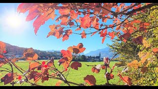 Herbst Impressionen 2024 [upl. by Assirod]