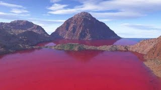 समुद्र लाल कैसे हो गया। red tide  amazing facts gonyaulax [upl. by Adnilrem829]