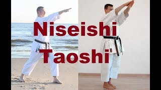 Niseishi Takedowns [upl. by Meekar]