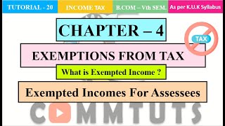 Exempted Incomes  NonTaxable Income Meaning Exempted Incomes For Assessees [upl. by Adnohs]