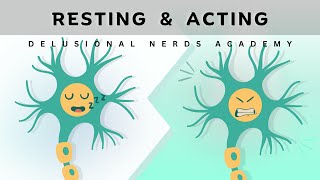 Resting vs Action Potential Simplified Explanation [upl. by Justus]