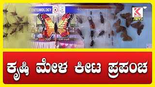 Shivamogga krushi Mela 2024  Shivamogga News klivenews kannadanews krushimela shimoga [upl. by Aiselad672]