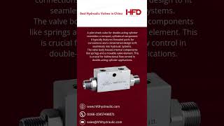 VRDD  PILOT CHECK VALVE FOR DOUBLEACTING CYLINDER WITH DIN2353 CONNECTIONS hydraulicvalve hfd [upl. by Ahmed]