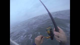 Fishing Barnegat Bay Plug Bass1 [upl. by Eiramait574]