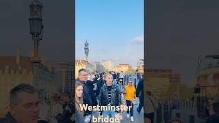 Westminster shorts travel [upl. by Ayocal]