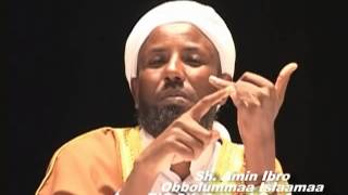 Sheikh Amin Ibro Obbalummaa Islaamaa part 2 [upl. by Adriell55]