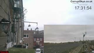 LIVE Great Yarmouth Norfolk Wild window birdcam amp Weather [upl. by Socram]