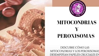 Mitocondrias y Peroxisomas [upl. by Isnyl424]