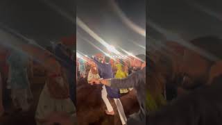 Abhivyakti day 2 garba navratrispecial viralvideo youtube trending explore instagram [upl. by Adliw723]