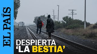 MÉXICO  El recorrido de los migrantes a bordo del tren La Bestia  EL PAÍS [upl. by Ylrebmic]