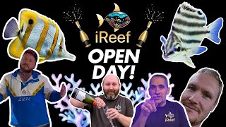 New Saltwater Aquarium Shop Tour UK  iReef Rochdale [upl. by Ennylhsa98]